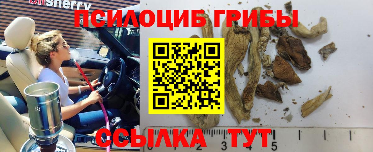 Псилоцибиновые грибы ЛСД Тулун
